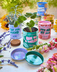 Complimentary Color Grow Kits