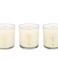 Floral Bouquet - Plant the Box Votive Candle Trio