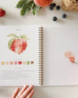 Fruit watercolor workbook