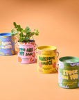 Complimentary Color Grow Kits