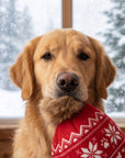 Apres Ski Pom Pom Hat | Squeaker Dog Toy