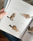 Build book
