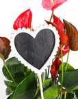 Chalkboard Heart Plant Stake - Mother's Day