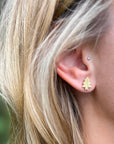 Fraser Fir Tree Studs