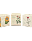 Floral Bouquet - Plant the Box Votive Candle Trio