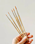 Watercolor paintbrush set of five wood brushes