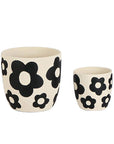 Small Terracotta Flower Pot