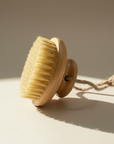Natural Body Dry Brush | Lymphatic Drainage Support