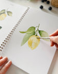 Fruit watercolor workbook