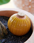 Terracotta Watering Bulb