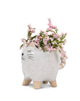 Sm Cat w/Tail Planter-4"L