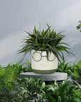Face Planter w/Glasses