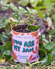 Complimentary Color Grow Kits
