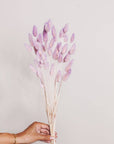 Preserved Two Tone Lavender Blush Bunny Tail (Bundles of 15)
