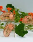 California Poppy Claw - Orange Acetate Flower Hair Clip