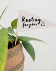 Rooting for you