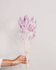 Preserved Two Tone Lavender Blush Bunny Tail (Bundles of 15)
