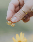 Honey Bee Hoops