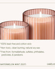 Scented Candle - Watermelon Mint Zest - 7oz | La Jolie Muse