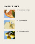 BIRTHDAY SUIT body + hair perfume mist