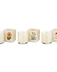 Floral Bouquet - Plant the Box Votive Candle Trio