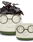 Face Planter w/Glasses