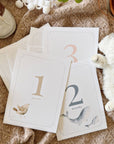 Baby milestone cards