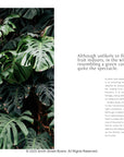 Plantopedia