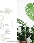 Plantopedia