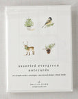 Evergreen notecard set