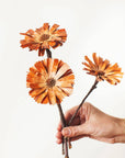 Natural Protea Rosettes
