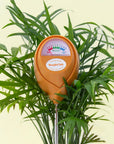 Moisture Meter | Orange