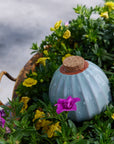 Terracotta Watering Bulb