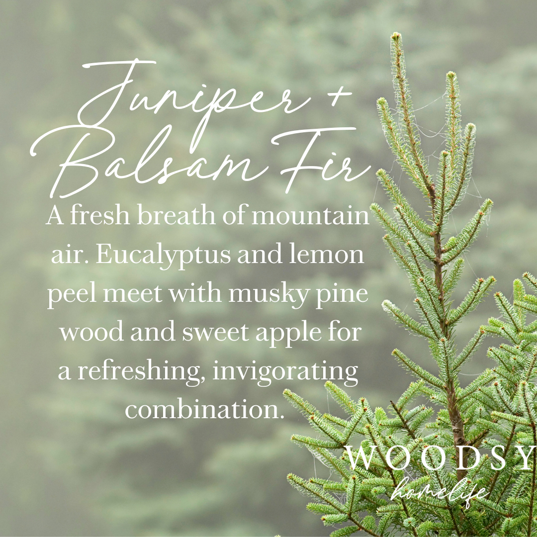 Juniper &amp; Balsam Fir-Solid Brass 14oz Pure Soy Candle