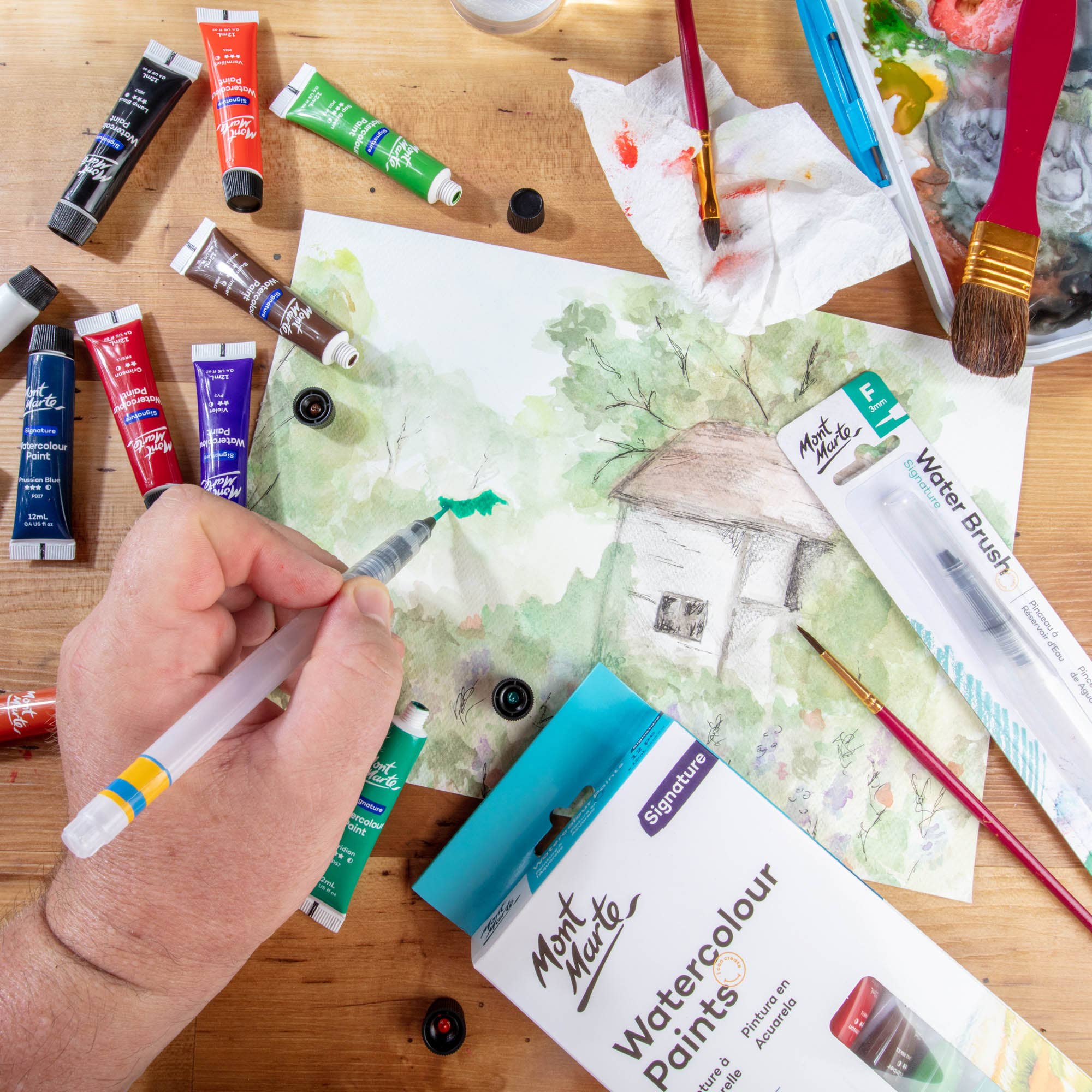 Watercolor Paints Signature 12pc x 12ml