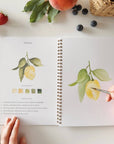 Fruit watercolor workbook