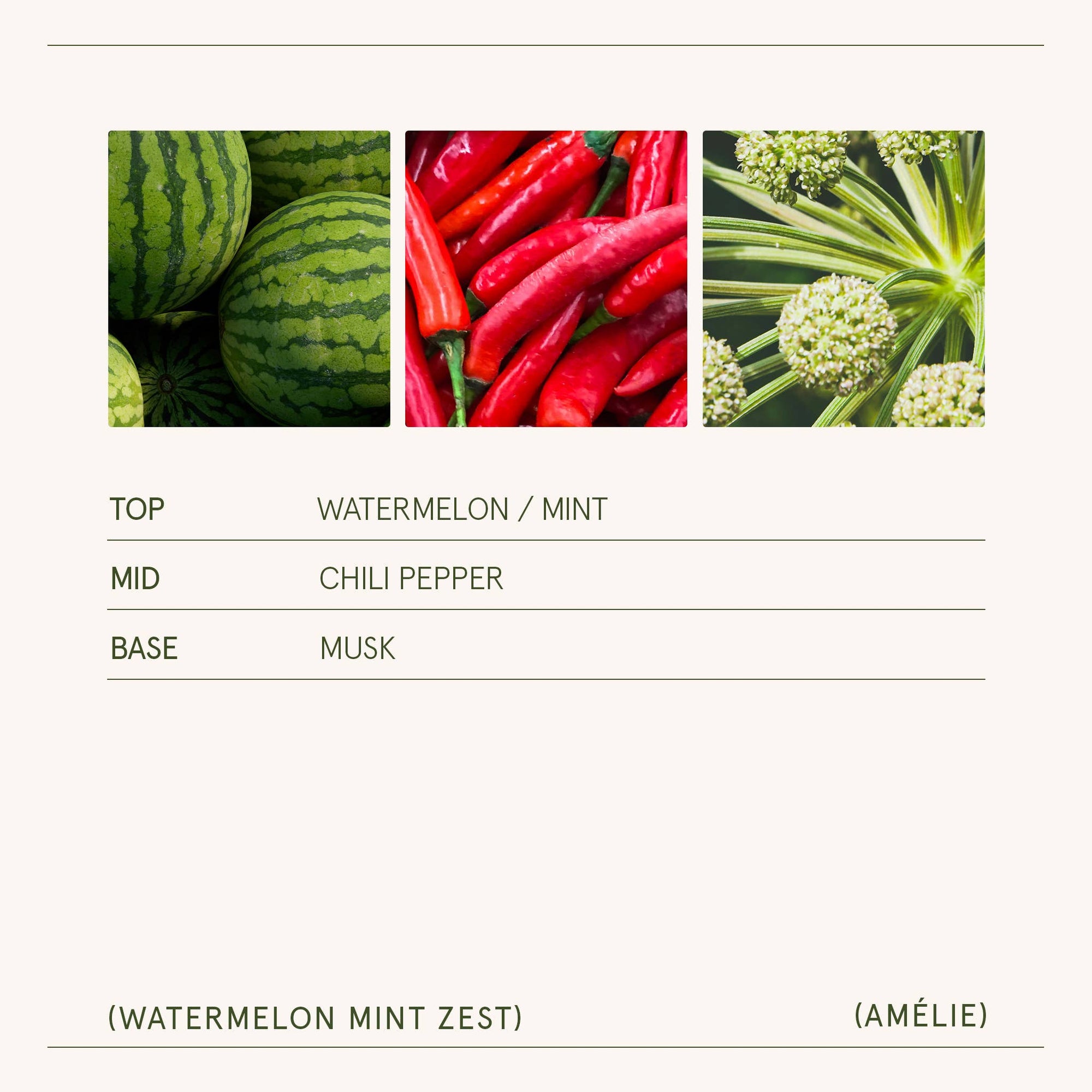 Scented Candle - Watermelon Mint Zest - 11oz | La Jolie Muse