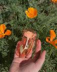 California Poppy Claw - Orange Acetate Flower Hair Clip