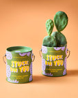 Complimentary Color Grow Kits