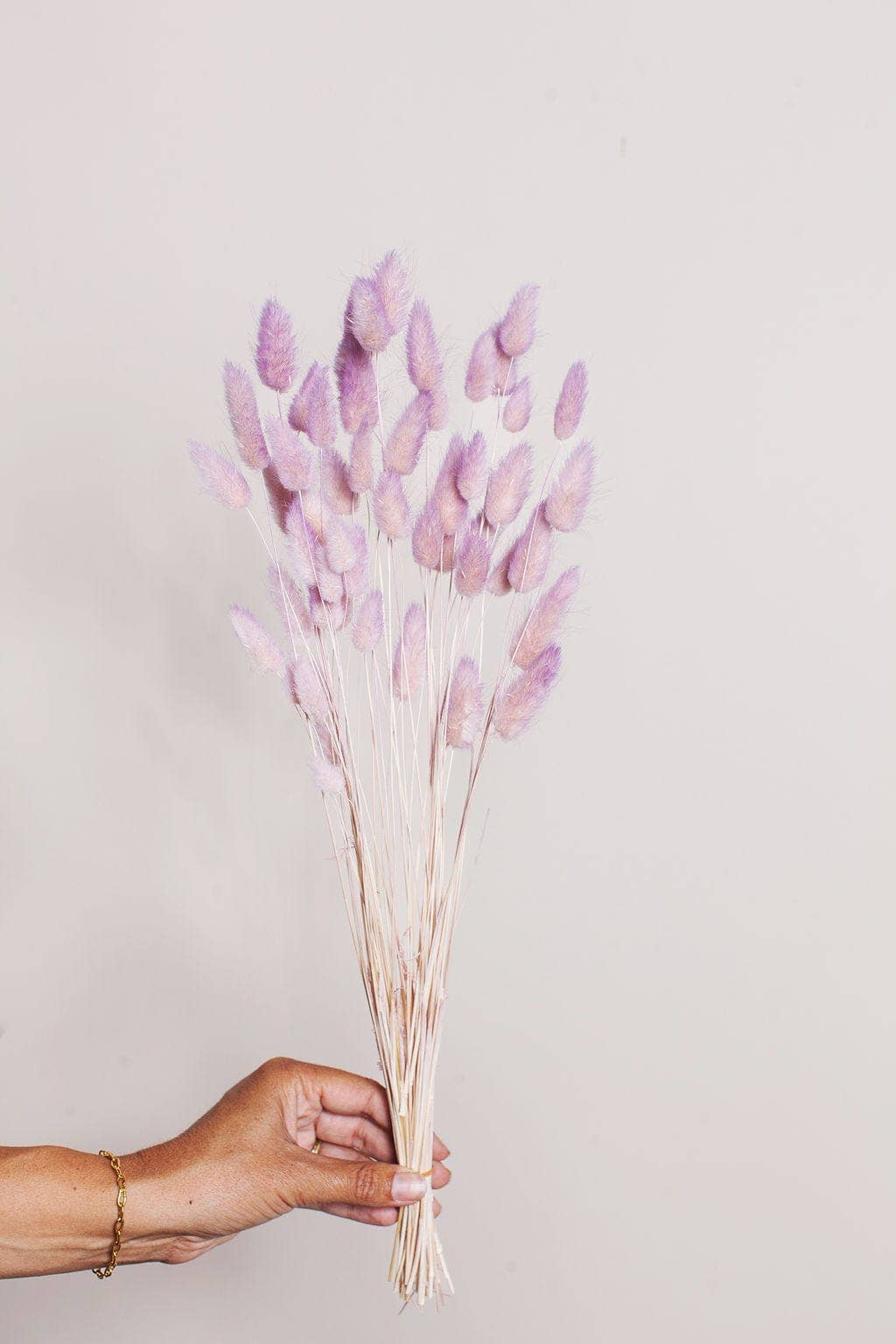 Preserved Two Tone Lavender Blush Bunny Tail (Bundles of 15)