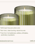 Scented Candle - Mandarin Matcha - 7oz | La Jolie Muse