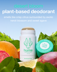 Plant & Probiotic Deodorant- Desert Bloom Scent