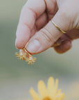 Honey Bee Hoops