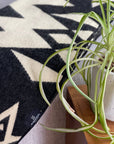 Awa Throw Blanket - Natural / Black | home decor | Spring De