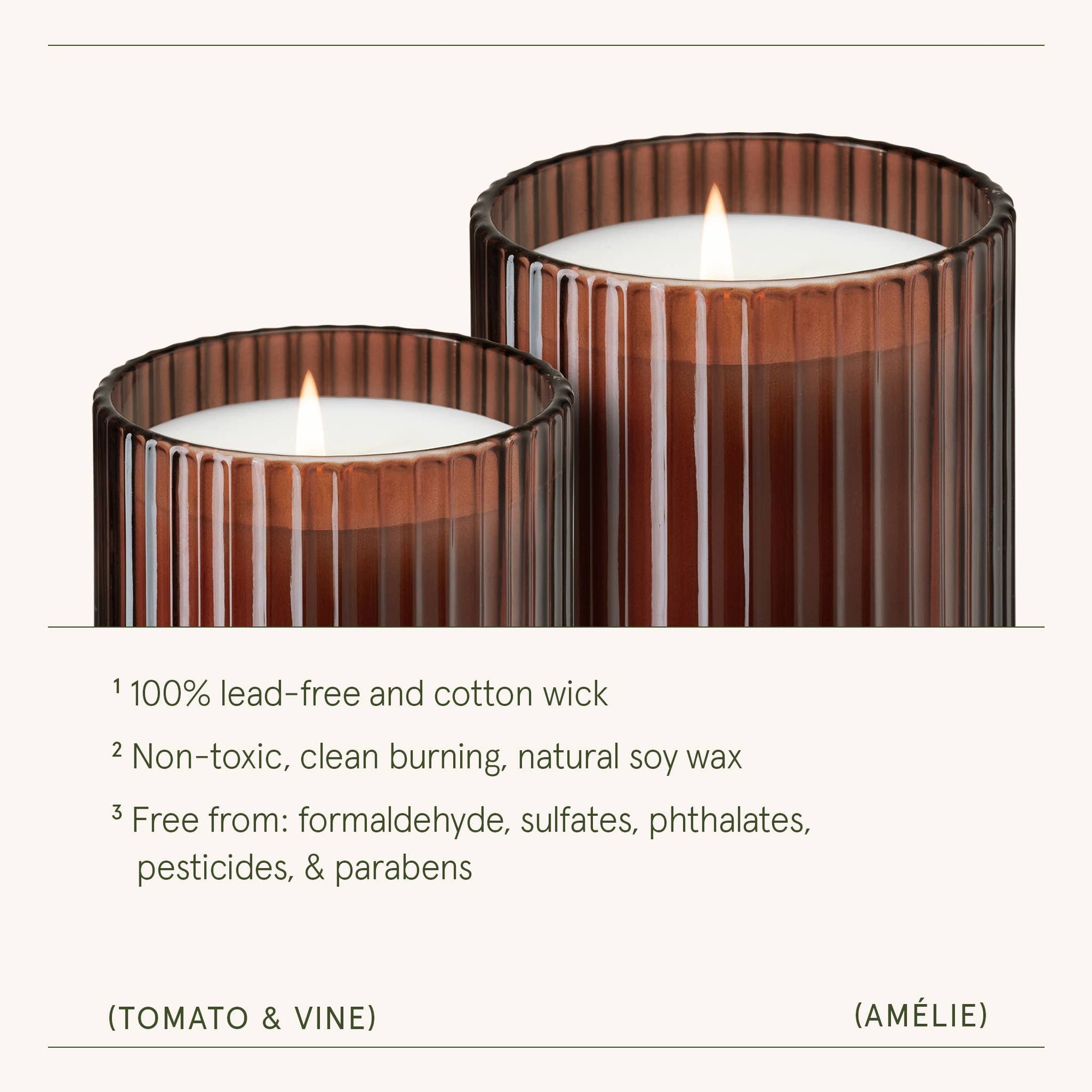 Scented Candle - Tomato &amp; Vine - 11oz | La Jolie Muse