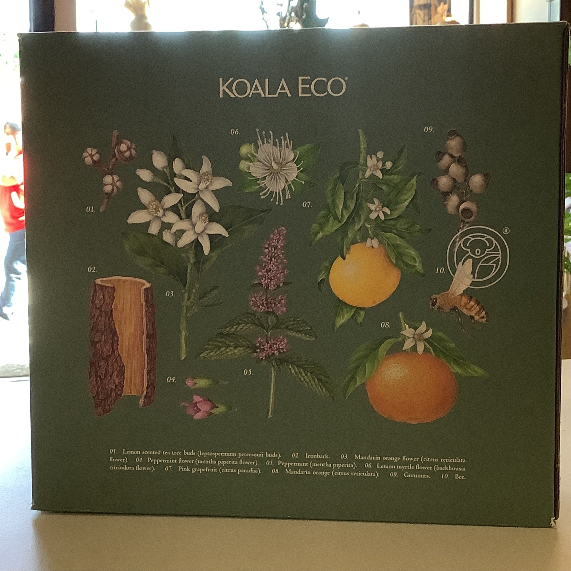 Koala Eco Home Gift Collection