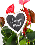 Chalkboard Heart Plant Stake - Mother's Day