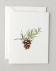 Evergreen notecard set