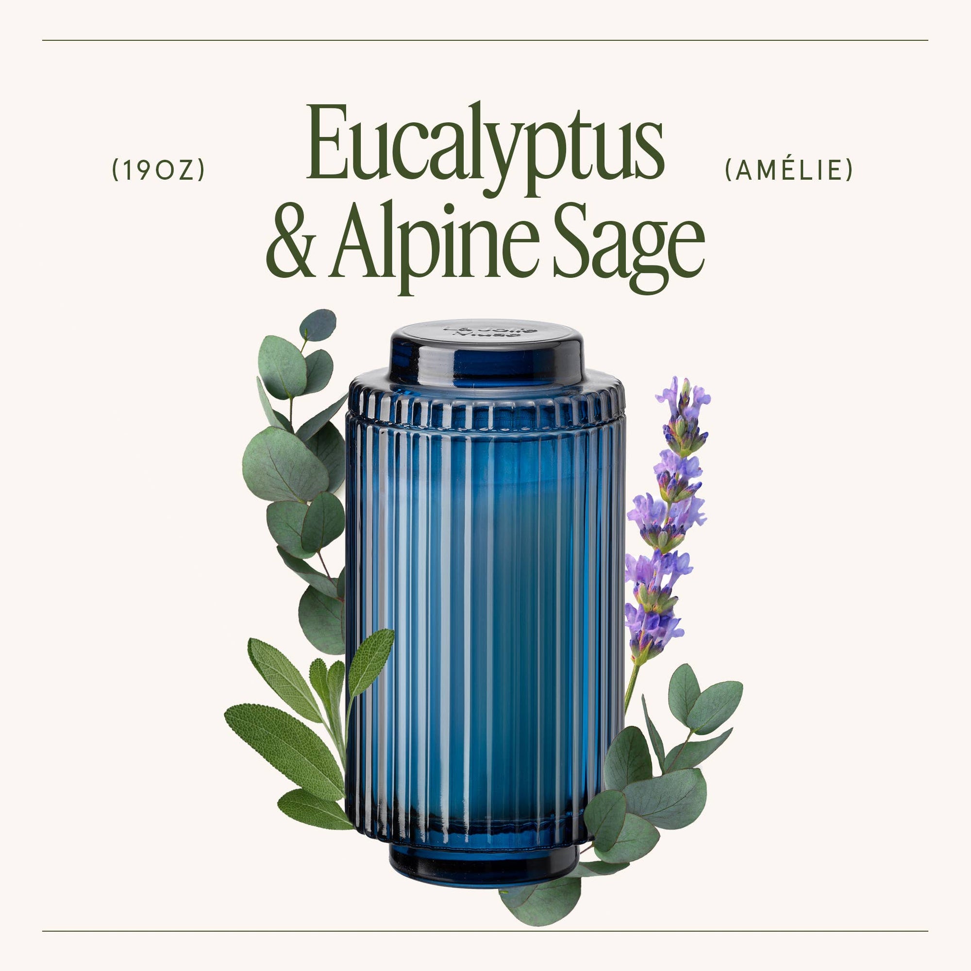 Scented Candle - Eucalyptus &amp; Alpine Sage - 19oz | LJM
