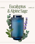 Scented Candle - Eucalyptus & Alpine Sage - 19oz | LJM